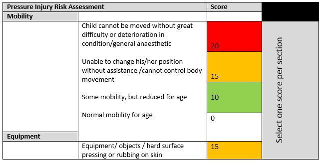 Pressure Injury Risk Assessment Scoring